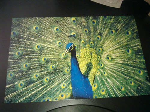 f373143984.jpg (276.9 КБ) 3530 просмотров f373143984.jpg