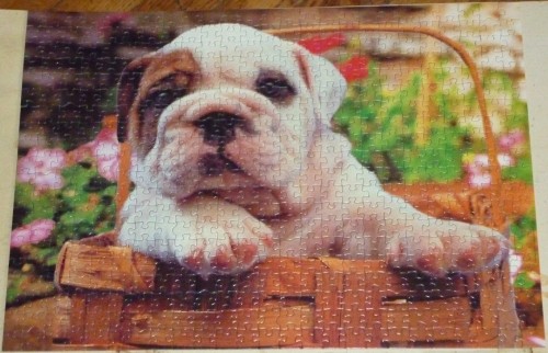 P11000491.jpg (800.11 КБ) 3239 просмотров P11000491.jpg