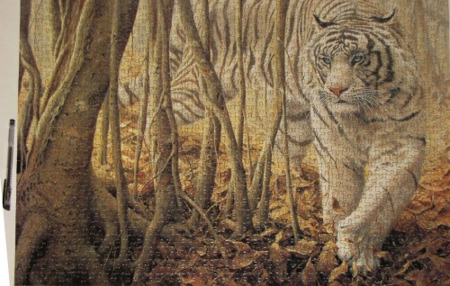 белый тигр 1000 финк сомпаниf.jpg (181.17 КБ) 3489 просмотров белый тигр 1000 финк сомпаниf.jpg