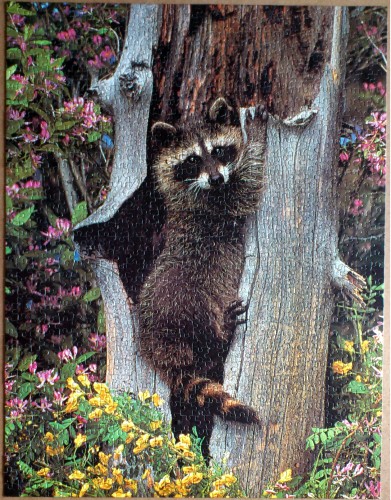 MB Puzzle. Raccoon Up a Tree.jpg