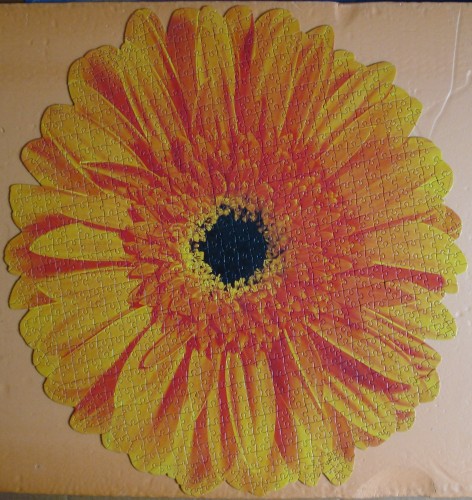 016.JPG (1.51 МБ) 2858 просмотров 016.JPG