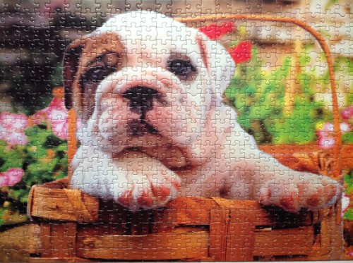 IMG_4730.JPG (1.65 МБ) 2907 просмотров IMG_4730.JPG