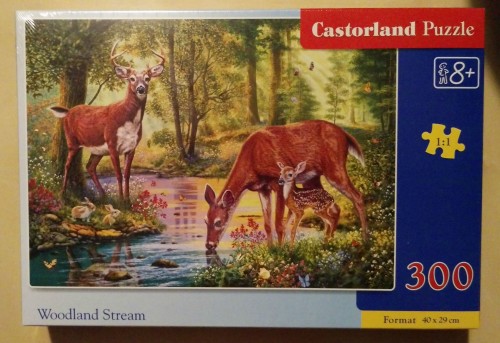 Castorland 300 Woodland Stream.jpg