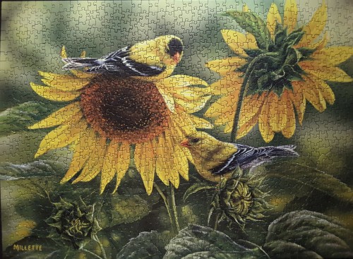 Sunflowers and Goldfinches.jpg