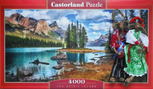 Castor, THE SPIRIT ISLAND, 4000 (2).JPG