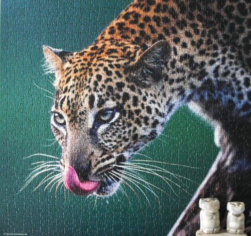 Heye, Leopard, 1000z.JPG