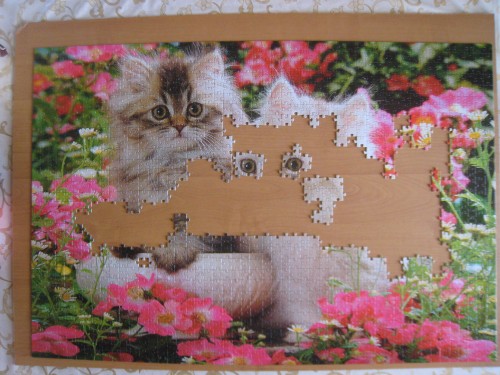 Котята, Step puzzle, 1500, сборка.jpg