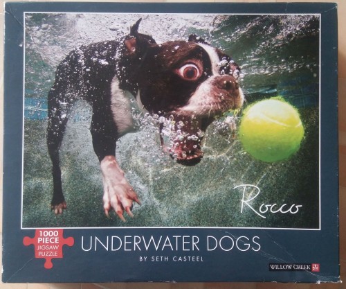 Willow Creek 1000 Underwater dogs.jpg