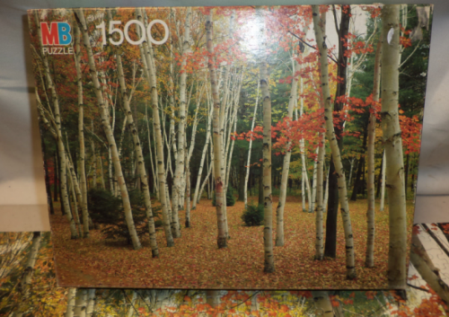 MB, White Birch, 1500