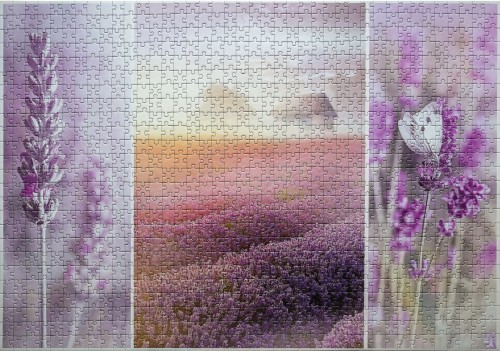 Lavender fields # Лавандовые поля 1000 (Trefl 10411).JPG