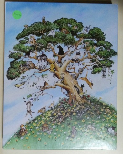 Springbok. Famile tree.jpg