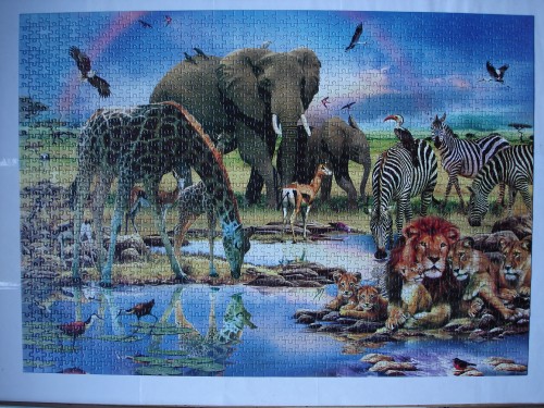 DSC00439.JPG (2.33 МБ) 5391 просмотр DSC00439.JPG