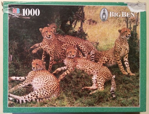 MB Puzzle 1000 Cheetah Family in Kenia.jpg