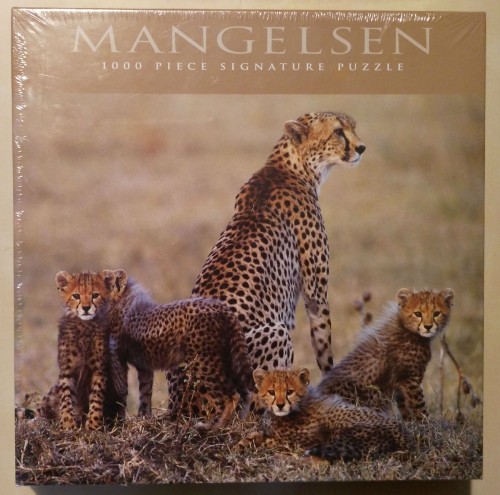 Mangelsen 1000 The Dry Season – Cheetahs.jpg