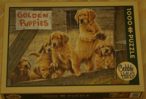 Cobble Hill. Golden Puppies.jpg