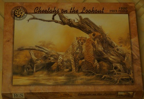 RGS Group 1500 Cheetahs on the Lookout.jpg