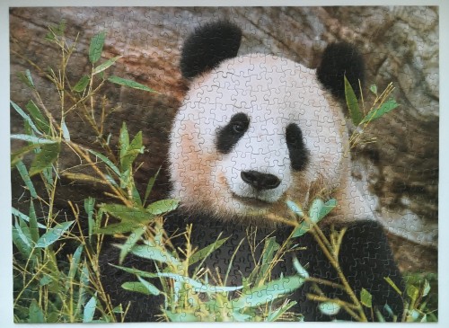 Panda, 500.JPG (2.45 МБ) 3871 просмотр Panda, 500.JPG