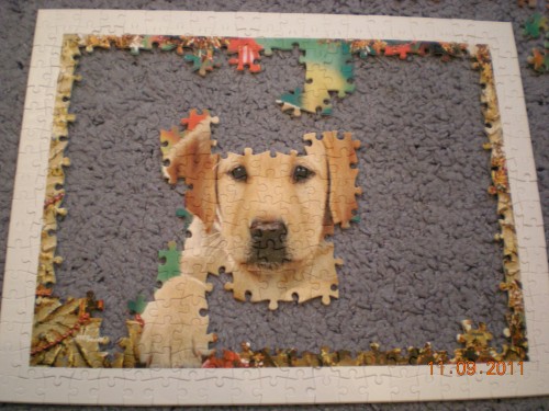 DSCN1503.JPG (1.36 МБ) 2072 просмотра процесс...