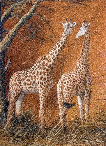 giraffe-duo-148608.jpg (372.87 КБ) 1500 просмотров giraffe-duo-148608.jpg