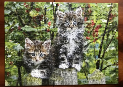 Ravensburger. Kittens on the Fence. Котята на заборе. 500. Арт. 14147 0.JPG