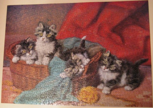 mischievous kittens, вредные котята 1000.jpg