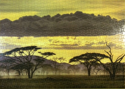 африка [800x600].jpg