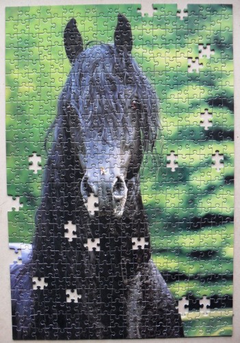 Портрет черной лошади Фризен, 500-собранный пазл.JPG