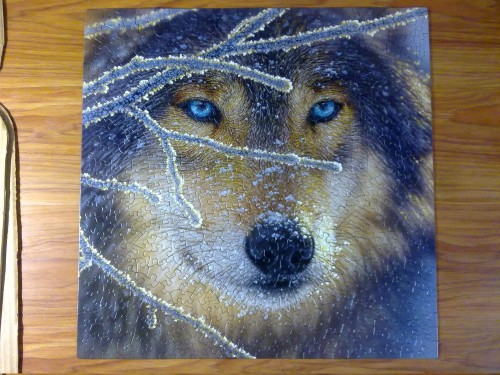 140220132326.jpg (1.16 МБ) 3546 просмотров Красавец.