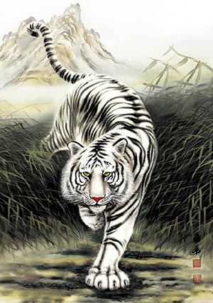 White tiger PL1137.jpeg