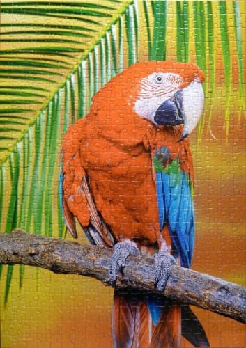 Castorland - 500 - Green-winged macaw - B-51724.jpg