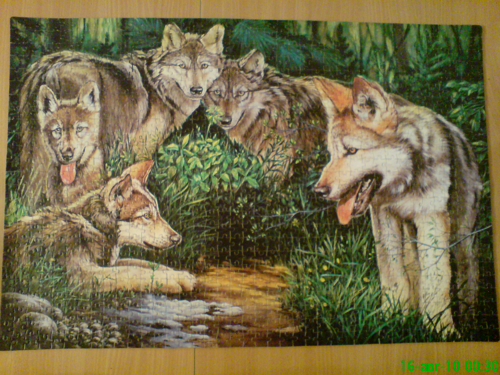 Wrebbit. Perfalock puzzle. Wolves in Springtime