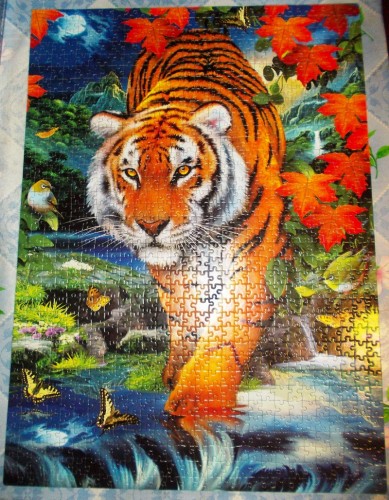 Тигр, Клем, 1000.JPG (558.85 КБ) 3746 просмотров Тигр, Клем, 1000.JPG