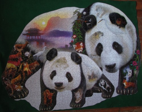 Panda Playground by Dennis Rogers%2C 1000 %2890441%29.jpeg