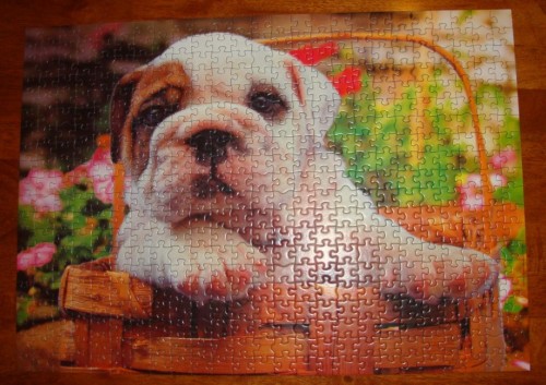 Bull Dog.JPG (141.63 КБ) 3544 просмотра Bull Dog.JPG