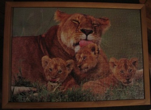 Lioness%20with%20her%20Cubs,%20500%20(14111).jpg