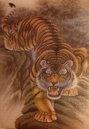 Tiger, 1000 ( 1168).JPG