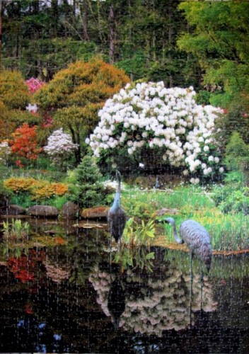 Озеро в парке.jpg