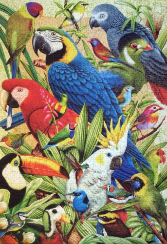 Avian World.jpg