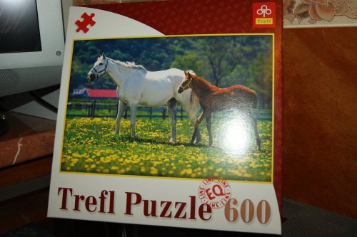 белая и жеребенок.jpg