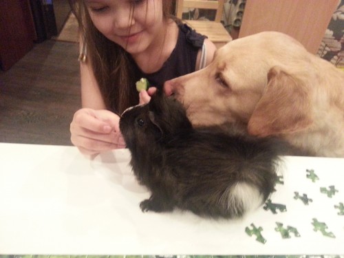 20150318_213217.jpg