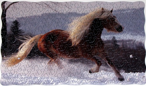 гафлингер 2k.jpg