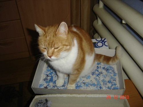 Помошничег