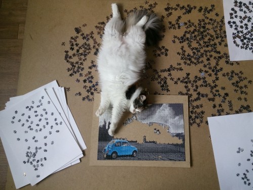 sZzPwIOyqf0.jpg