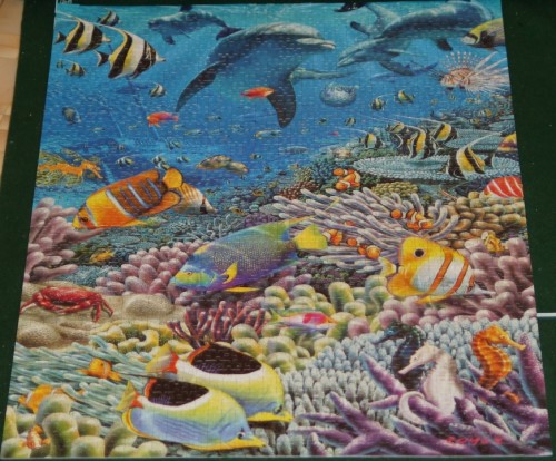 Морская жизнь.jpg