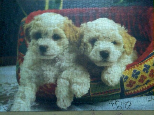 Потом загружу другие.