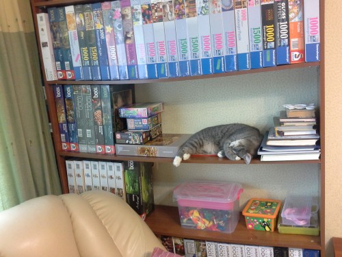 20150816_164759.jpg