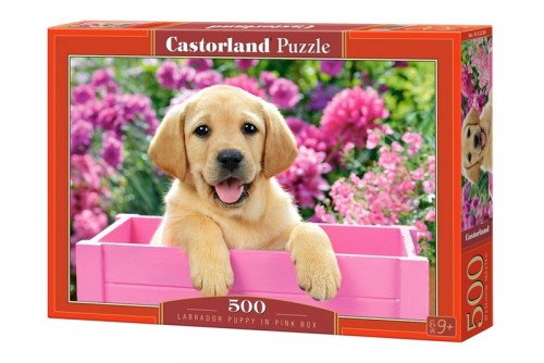 Castorland - 500 - Labrador puppy in pink box - B-52226 - box.jpg