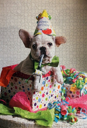 Trefl - 1000 - Happy Birthday - 10308.jpg