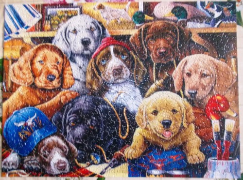 Дедушкины щенки, 750, МастерПис.JPG