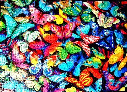 эдука. 500. бабочки. 22.05.2015.jpg